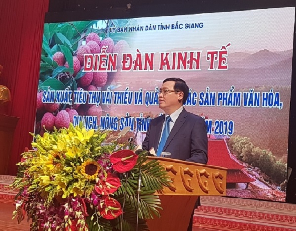 Hơn 500 doanh nghiệp tham dự diễn đàn kết nối tiêu thụ sản phẩm nông sản tỉnh Bắc Giang năm 2019 - Hình 4
