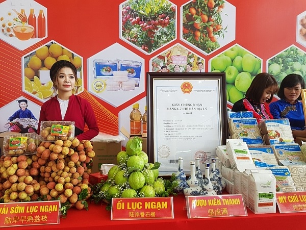Hơn 500 doanh nghiệp tham dự diễn đàn kết nối tiêu thụ sản phẩm nông sản tỉnh Bắc Giang năm 2019 - Hình 3