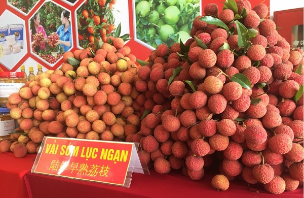 Hơn 500 doanh nghiệp tham dự diễn đàn kết nối tiêu thụ sản phẩm nông sản tỉnh Bắc Giang năm 2019