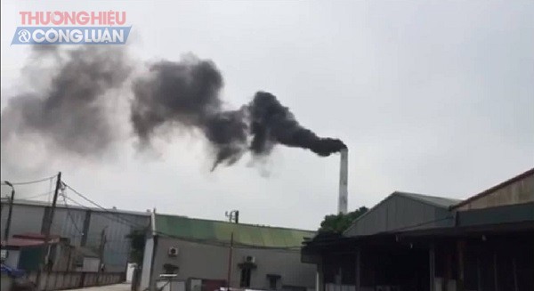 Công ty TNHH lương thực Hà Việt: Xả thải trực tiếp gây ô nhiễm mô trường?