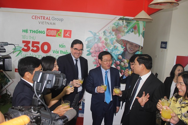 Central Group Việt Nam sẽ tiêu thụ khoảng 350 tấn vải thiều Lục Ngạn - Bắc Giang - Hình 3