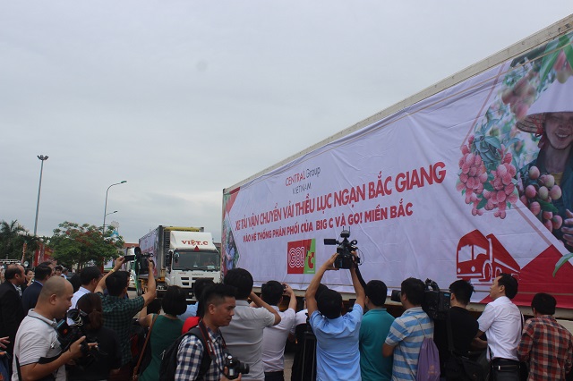 Central Group Việt Nam sẽ tiêu thụ khoảng 350 tấn vải thiều Lục Ngạn - Bắc Giang - Hình 2
