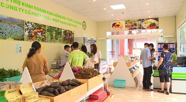 Sản xuất nông sản an toàn: Còn nhiều bất cập