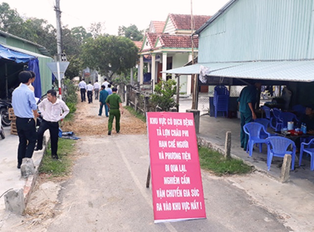 Quảng Nam: Hỗ trợ người dân có heo bị tiêu huỷ do dịch tả heo châu Phi