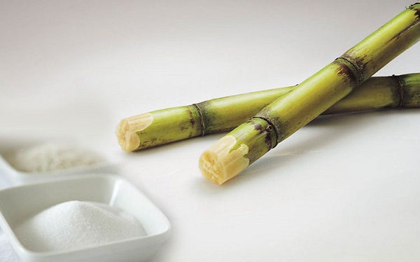 Đường nhập lậu gây khó khăn cho ngành mía đường trong nước