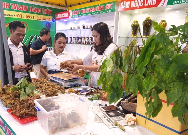 Quảng Nam: Phiên chợ sâm Ngọc Linh đã trở thành thương hiệu đối với khách hàng trong và ngoài tỉnh - Hình 2