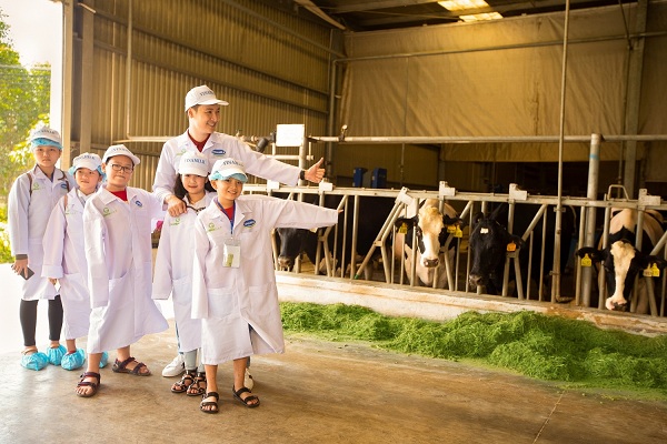 Tận mắt thấy những cô bò ở ‘Resort' góp công tạo nên ly sữa học đường - Hình 1