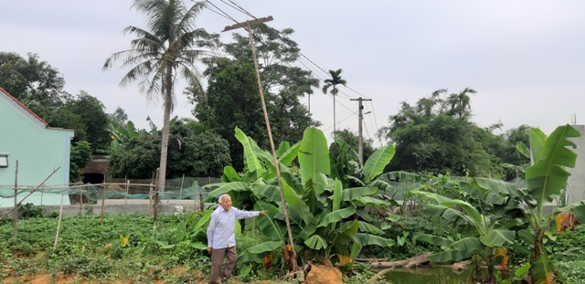 Nghệ An: Điện lực huyện Yên Thành “bỏ quên” quyền lợi người dân suốt nhiều năm