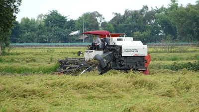 Nguồn vốn Agribank góp phần thúc đẩy cơ giới hoá nông nghiệp - Hình 3