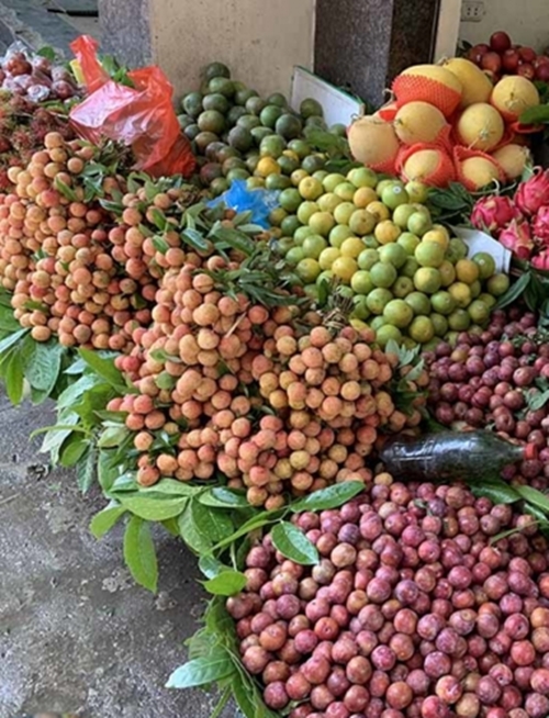 Cận Tết Đoan Ngọ (5/5): Trái cây, hoa tươi rục rịch tăng giá