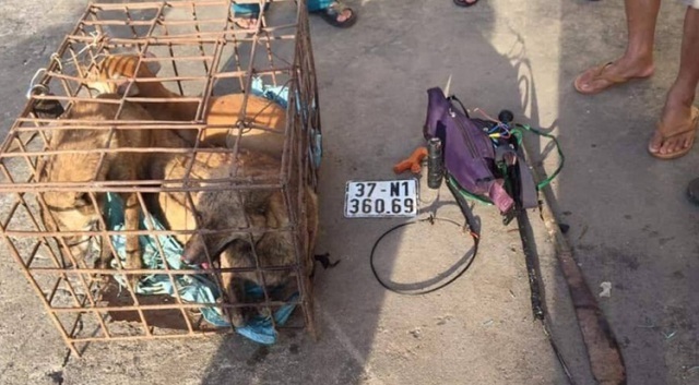 Nghệ An: Trắng đêm mật phục, vây bắt nhóm “cẩu tặc”