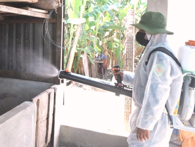 Huyện Hòa Vang-Đà Nẵng: Xuất hiện thêm 1 ổ dịch tả heo châu Phi tại xã Hòa Khương - Hình 1