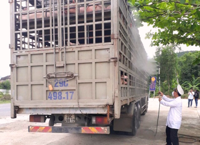 Huyện Hòa Vang-Đà Nẵng: Xuất hiện thêm 1 ổ dịch tả heo châu Phi tại xã Hòa Khương - Hình 2