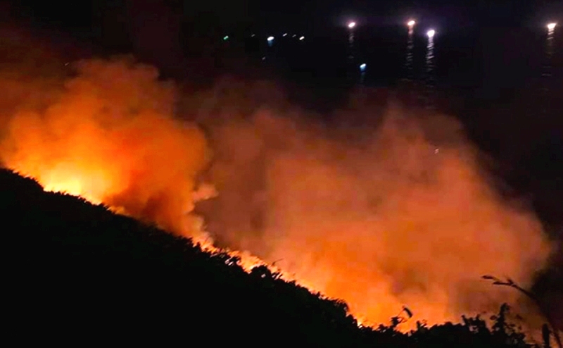 Đà Nẵng: Cháy lớn trên bán đảo Sơn Trà - Hình 1