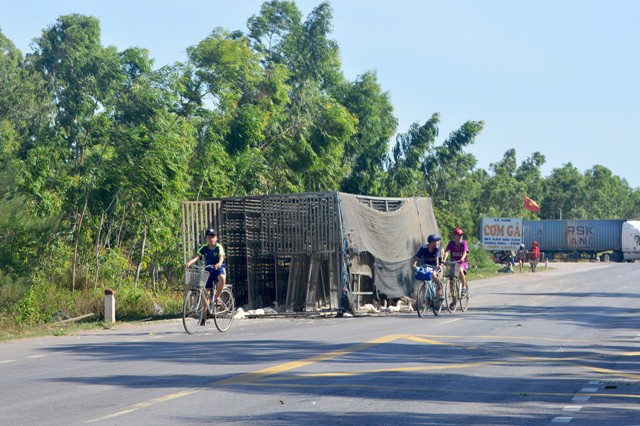 Quảng Bình: Xe tải chở vịt bị lật trên quốc lộ, người dân xúm vào “hôi của” - Hình 1