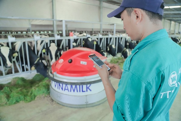 Vinamilk tổ chức cho con em nhân viên thăm resort bò sữa - Hình 8