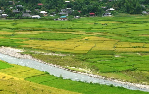 Thủ tướng đồng ý để tỉnh Bắc Giang chuyển đổi 47,16ha đất trồng lúa sang đất phi nông nghiệp - Hình 1