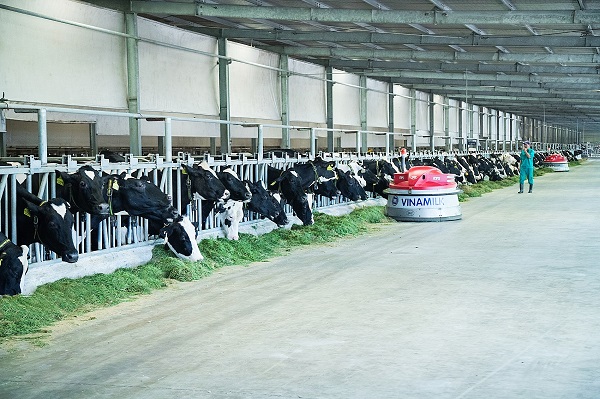 Vùng nguyên liệu sữa giúp Vinamilk dẫn đầu thị trường sữa tươi - Hình 2