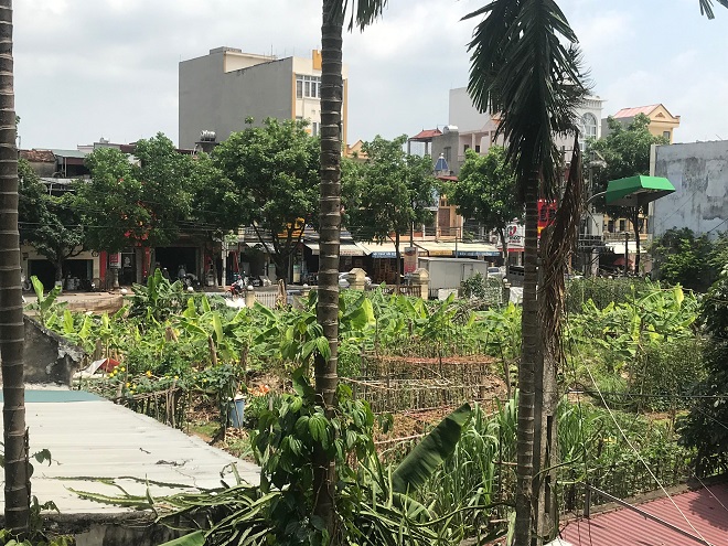 Hải Dương: Khu đất bỏ hoang giữa lòng thành phố?