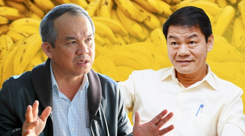 HNG chuyển nhượng 100% vốn tại Cao su Đông Dương cho Thadi