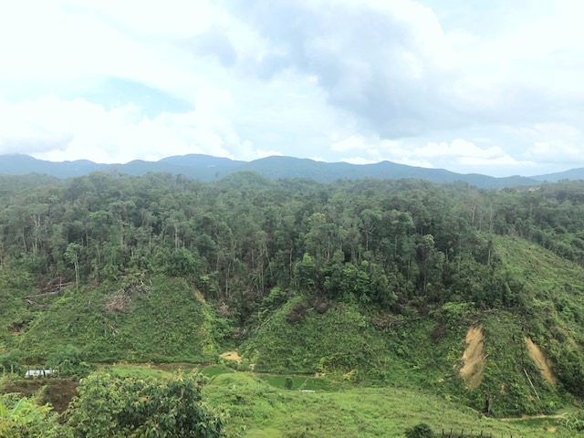 Công ty TNHH MTV Lâm nghiệp Konplông, Kon Tum: Tăng cường quản lý, bảo vệ và phát triển rừng - Hình 1