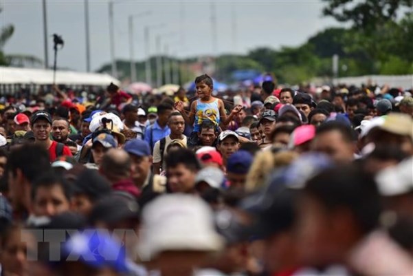 Tổng thống Mỹ chỉ thị trục xuất 2.000 gia đình nhập cư trái phép - Hình 1