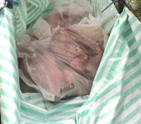 Kon Tum: Phát hiện thêm ổ dịch tả lợn châu Phi mới