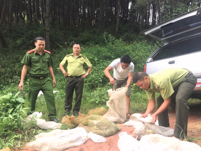 Đà Nẵng:Thả 21 cá thể động vật hoang dã về lại môi trường tự nhiên