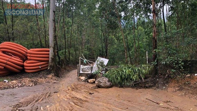 Vĩnh Phúc: Quyết liệt vào cuộc để có mặt bằng sạch ở dự án du lịch sinh thái Nam Tam Đảo - Hình 2