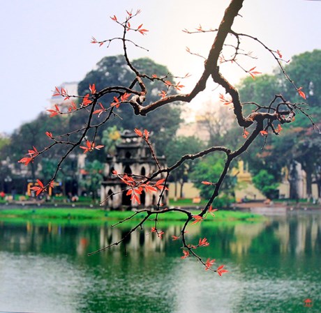 Nhiều hoạt động kỷ niệm 20 năm Hà Nội được vinh danh “Thành phố vì hòa bình”