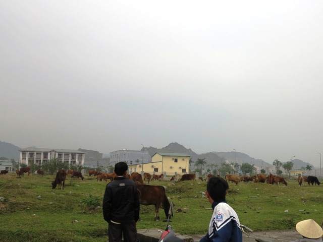 Nghệ An: Chấm dứt hoạt động dự án sắt xốp Kobe Nhật Bản