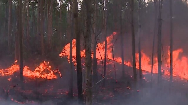 Rừng Phú Yên cháy lớn: Hơn 600 người và nhiều phương tiện tham gia chữa cháy