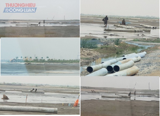 Chế tài nào cho 'sa tặc