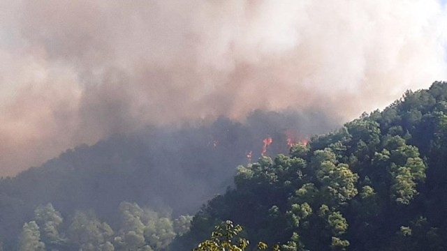 Hà Tĩnh: Cháy rừng thông ngùn ngụt, gần 100 hộ dân được lệnh sơ tán khẩn cấp - Hình 1