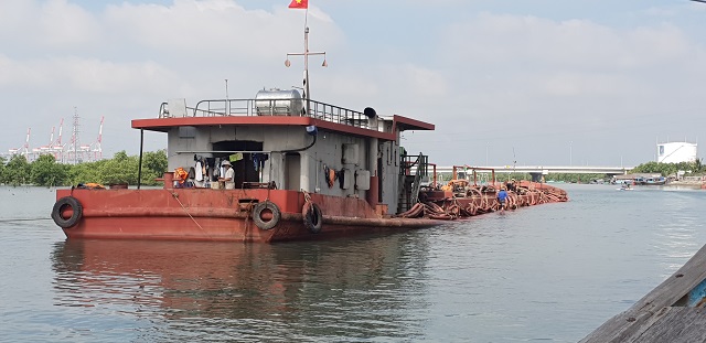 Chế tài nào cho 'sa tặc" khi mà thị trường ngày càng khan hiếm?