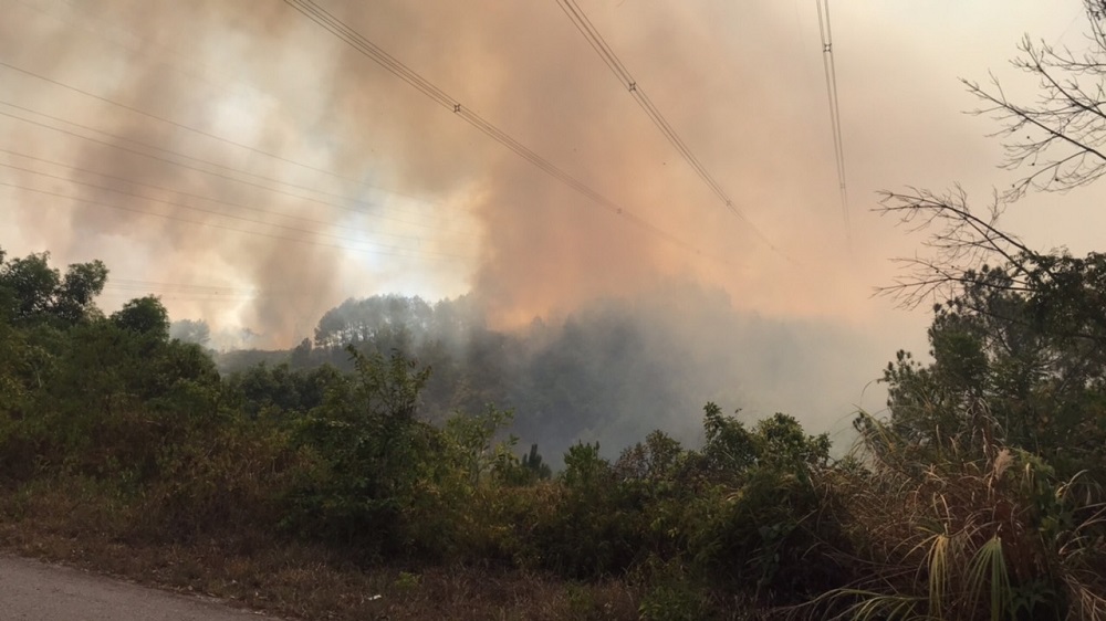 Lửa vây đường dây 500kV, nguy cơ cắt đứt hệ thống điện Bắc và Trung-Nam hoàn toàn - Hình 1