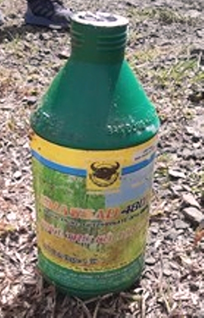 Huyện Kon Plông-Kon Tum: Vụ phun thuốc diệt cỏ ven QL24: Công ty nói nhân viên... làm liều - Hình 2