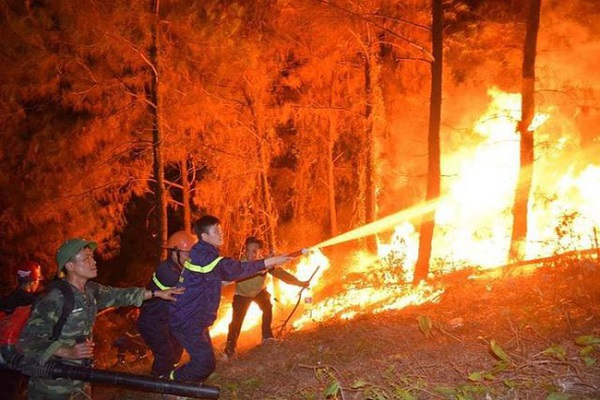 Thủ tướng chỉ đạo tăng cường các biện pháp cấp bách phòng cháy, chữa cháy rừng - Hình 1