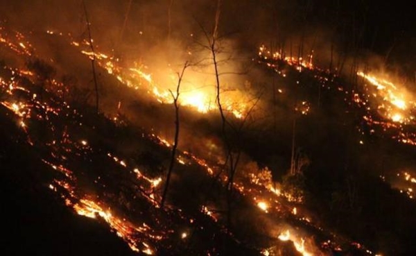 Cháy rừng phủ rộng trên nhiều tỉnh: Việc huy động trực thăng chữa cháy là vô cùng khó khăn - Hình 2
