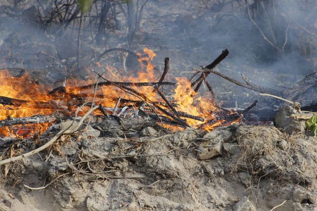 Quảng Bình: Cận cảnh hơn 10 ha rừng thông, keo bị “giặc lửa” thiêu rụi - Hình 5