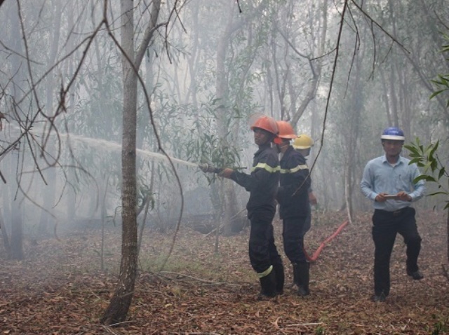 Quảng Nam: Cháy rừng gây thiệt hại khoảng 4 ha - Hình 2