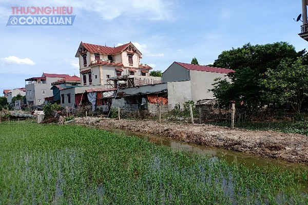 Xã Thành Lộc (Thanh Hóa): Tràn lan lấn chiếm đất xây dựng trái phép - Hình 2