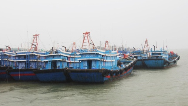 Nghệ An: Hàng nghìn tàu thuyền với hơn 19.000 lao động được “lệnh” cập bờ tránh bão - Hình 1