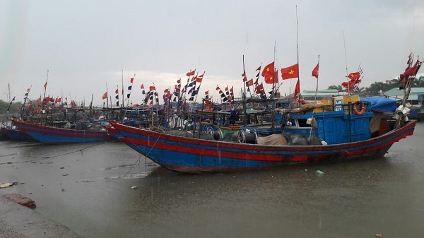 Hải Phòng: Hơn 2.500 phương tiện vào nơi tránh bão an toàn