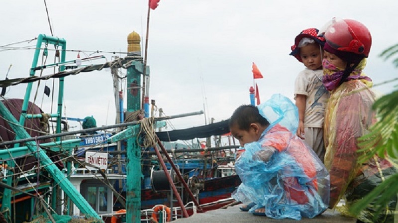 Hải Phòng: 2.548 khách du lịch “mắc kẹt” trên đảo Cát Bà