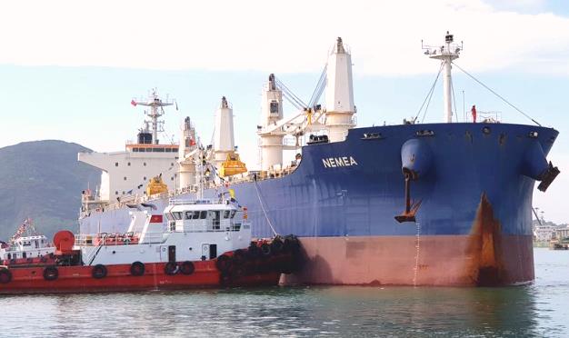 Cảng Quy Nhơn: Vinalines thay thế các vị trí quan trọng tại Hội đồng quản trị - Hình 2