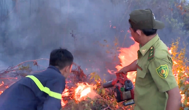 Phú Yên: 2 vụ cháy rừng trong ngày, ước tính ban đầu khoảng 50 ha rừng bị thiệt hại - Hình 2