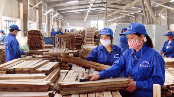 6 tháng đầu năm: Kim ngạch xuất khẩu gỗ đạt 5,3 tỷ USD - Hình 1