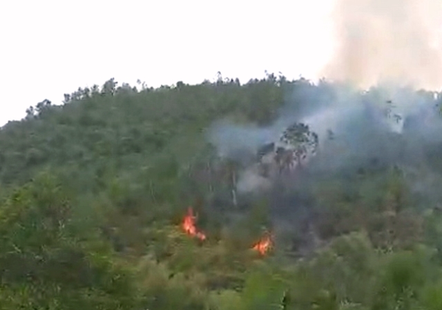 Đà Nẵng: 200 cán bộ, chiến sỹ chữa cháy rừng khu vực Hòa Khánh Bắc - Hình 1