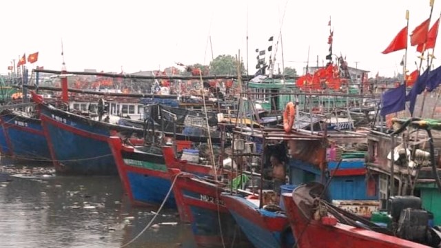 Quảng Ngãi: Sẽ hoàn thành 2 dự án cảng cá đầu tư 585 tỷ đồng - Hình 2